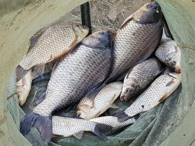 아름다운장계지에서