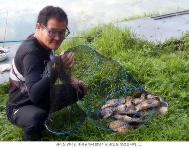 붕어도 낮가리를 하나 봅니다....