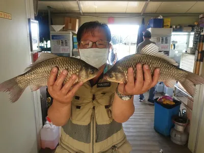 고삼지 풍성한 조과 풍성한 한가위 되세요