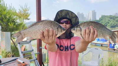 아산 명품 월랑낚시터 6월 세번째 조황이야기입니다...^^