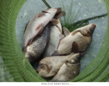 조금씩 좋아지고 있습니다...