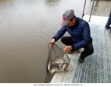 추위만 이긴다면 조황은....