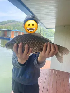 송전지 제일좌대 조황입니다.