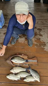 고삼지 오름수위 스타트!!