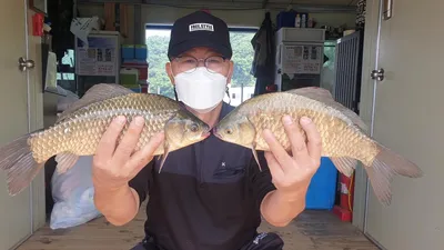 고삼지 주중 조황입니다.