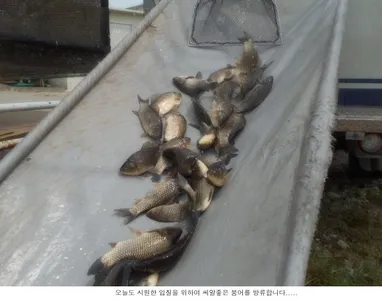 날씨따라서 조황도 올라갑니다....