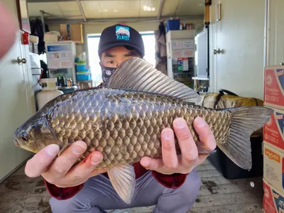 고삼지의 화려한 손맛!! 사짜붕어 조황