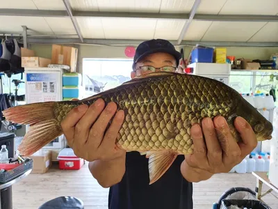 고삼지 최고의 상류권 포인트 사짜조황