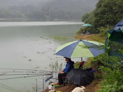 안성장계지주말조항입니다