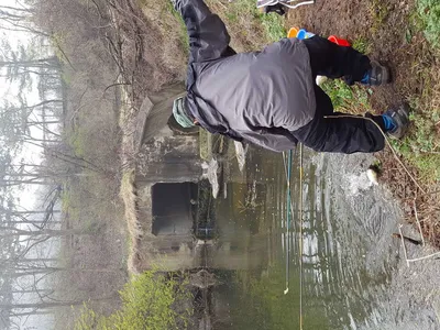 안성장계지주말조항입니다