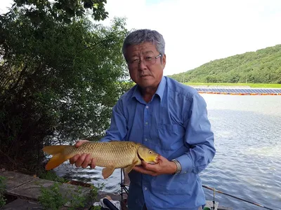 안성죽산장계지조항전경입니다