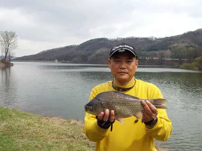 안성죽산장계지주중조항입니다