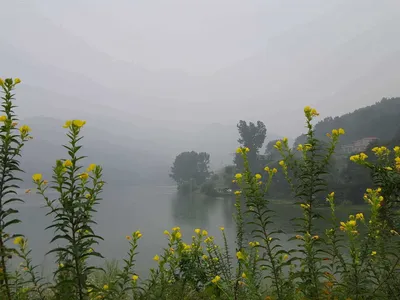 안성장계지주말조항입니다