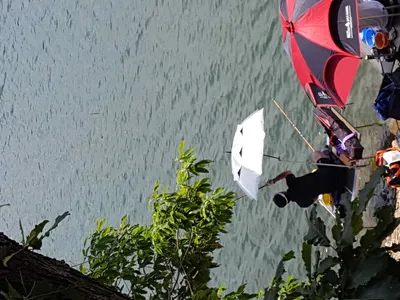 주말조항입니다