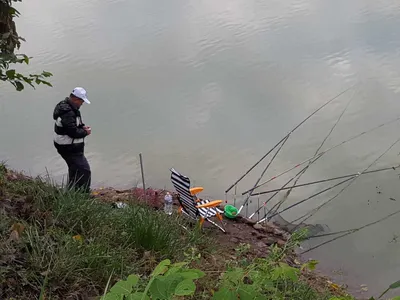 장겨지주중조항 입니다