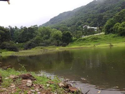 안성죽산장계지주중조항입니다