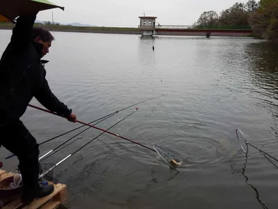 안성장계지주말조항입니다