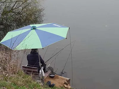 안성죽산장계지주중조항입니다