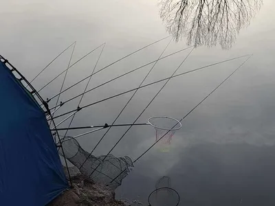 안성죽산장계지주중조항