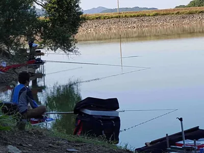 안성장계지주말조항입니다