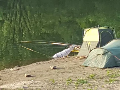 안성장계지주말조항