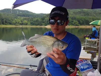 안성죽산장계지주중조항입니다