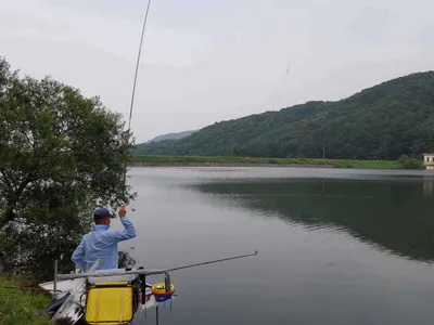 안성장계지주말조항입니다