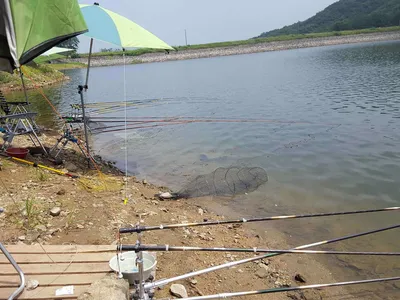 안성죽산장계지주중조항입니다