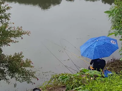 안성죽산장계지조항전경입니다