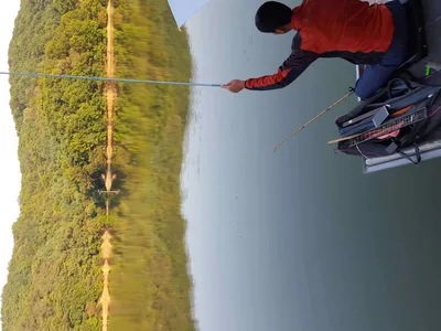 안성죽산장계지주중조항입니다