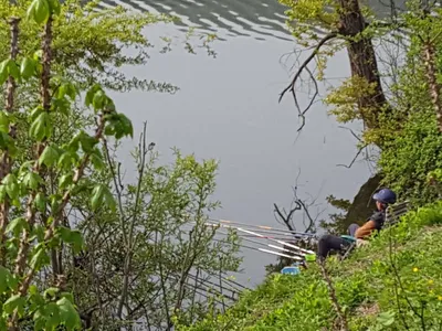 안성장계지주말조항입니다