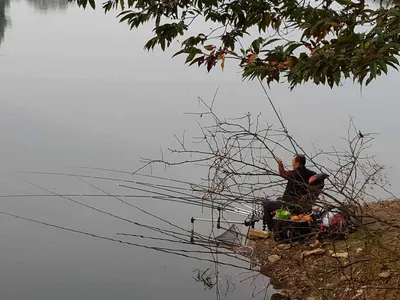 안성장계지주말조항입니다