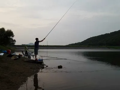 안성장계지주말조항입니다