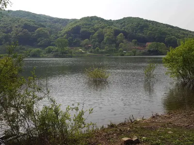 안성죽산장계지주중조항입니다