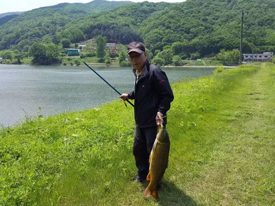 안성죽산장계지주중조항입니다