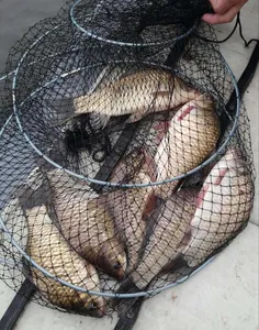 충남 공주시 행복낚시터(수정)