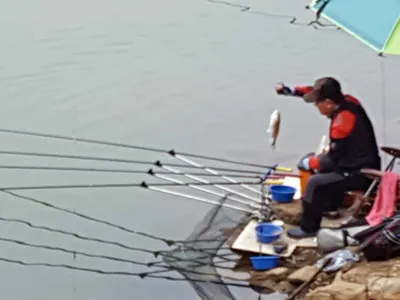 안성죽산장계지주중조항입니다