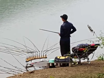 안성장계지주말조항입니다