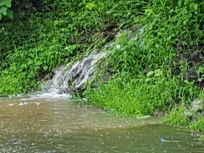 안성죽산장계지주중조항