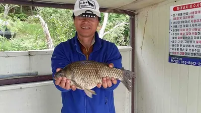 당진가교리지 토종 대물들 츨몰..