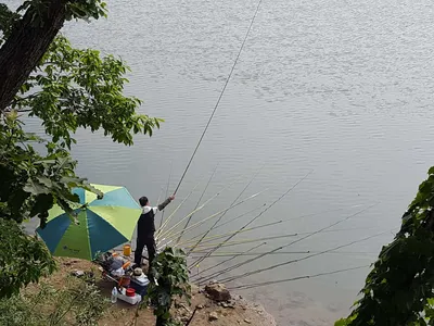 안성죽산장계지주중조항입니다