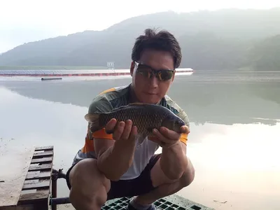 안성죽산조항전경입니다