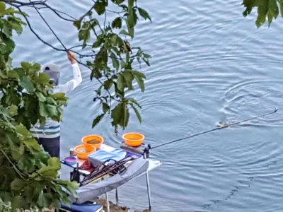 장겨지주중조항 입니다