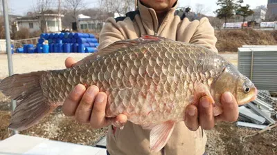 아산 명품 월랑낚시터 2월 마지막 조황 이야기입니다....^^