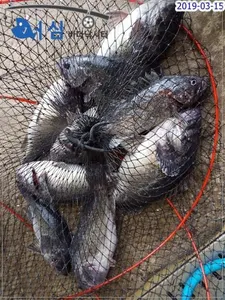 3월15일 어심바다낚시터조황