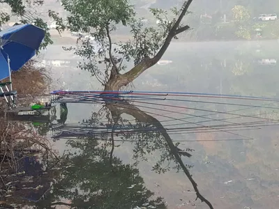 안성죽산장계지조항전경입니다