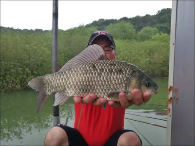18.05.20 송전지 서울집 조황