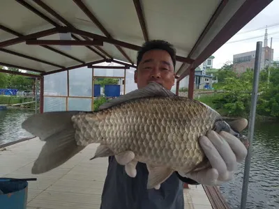 아산 명품 월랑낚시터 5월 세째쭈 조황이야기입니다...^^