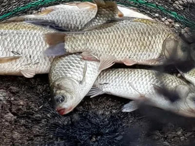 깊은계곡속에자리잡은장계지에서