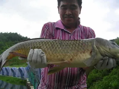 가을을 남기고간 사랑